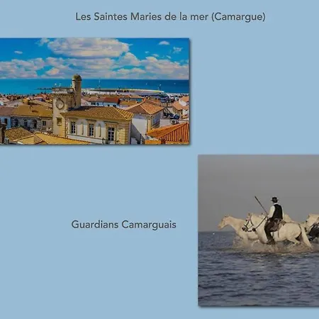 Beaucaire Cocoon 3/quais/cite Medievale/nature Beaucaire (Gard)